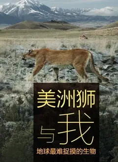 《美洲狮与我》：人与自然的和谐共生，一场震撼心灵的荒野奇遇！