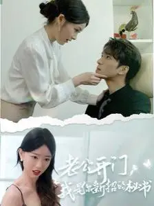 老公开门，我是你新招的秘书 海报