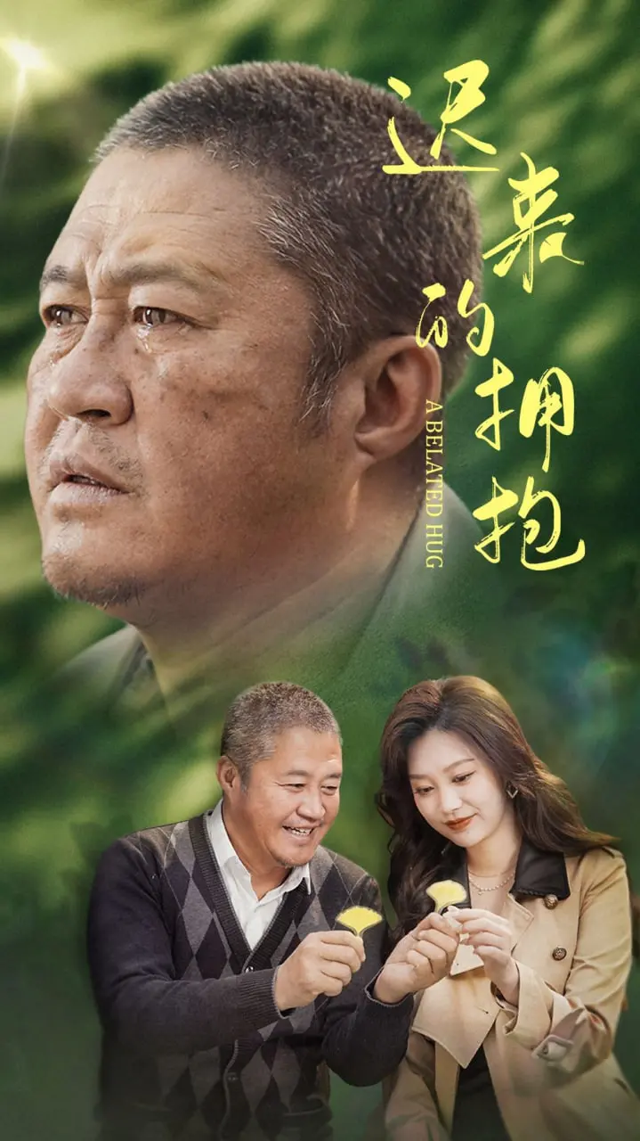 迟来的拥抱 海报