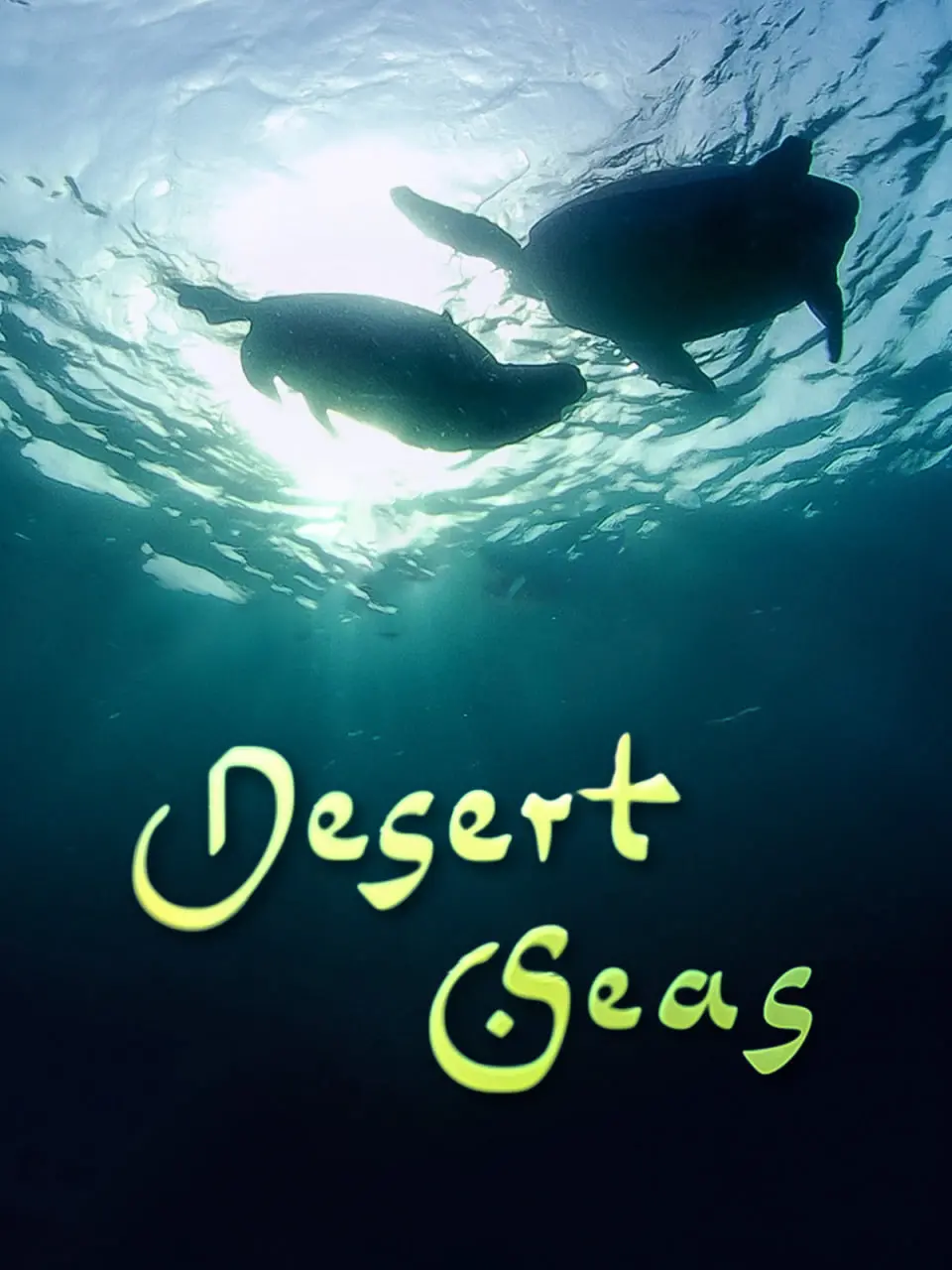 史诗巨制《沙漠之海》：黄沙漫漫，英雄崛起，一场关于生存与信仰的传奇