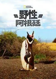 探索野性之美：《国家地理 野性阿根廷》带你领略南美洲的壮丽与神秘