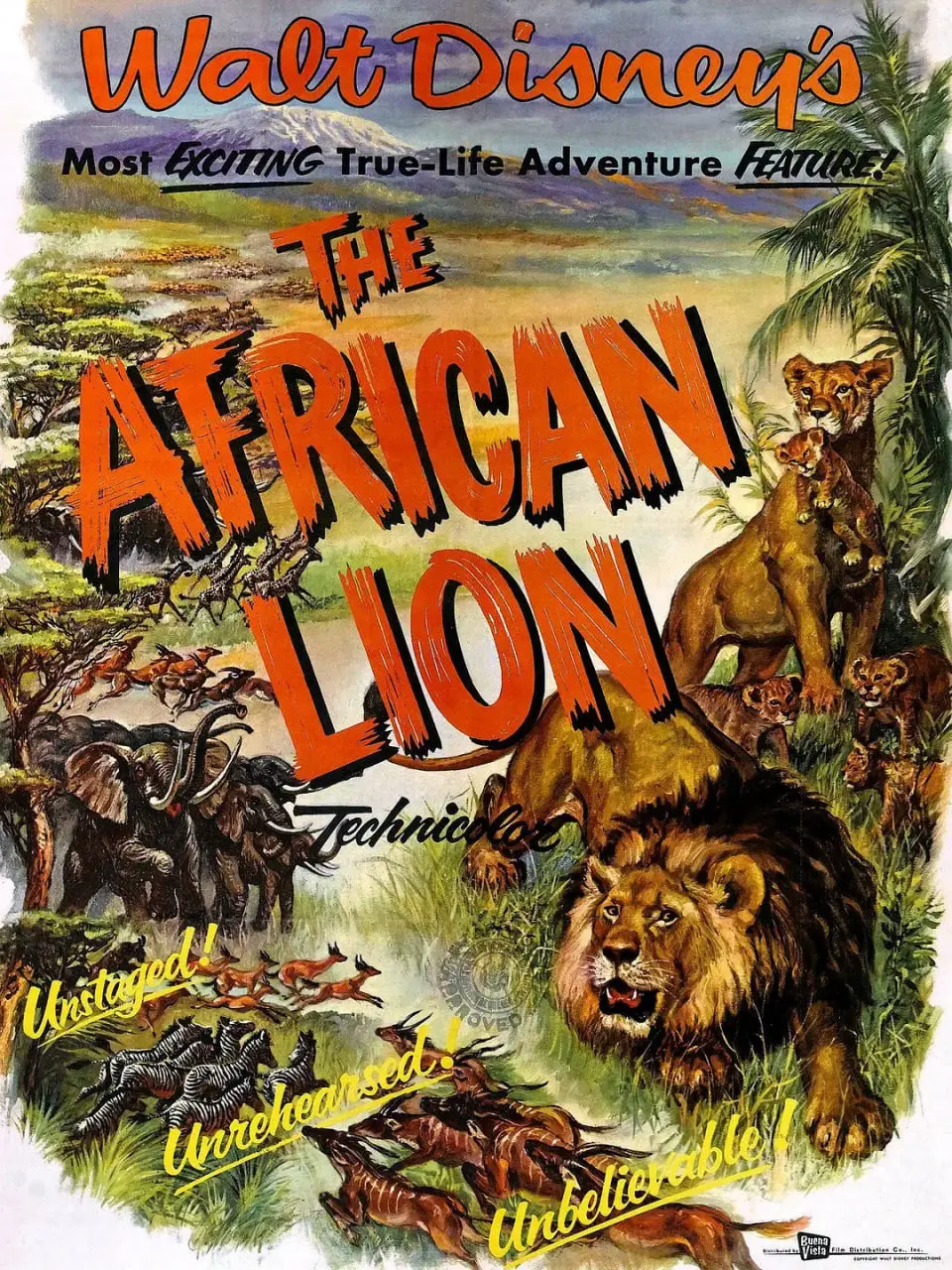 《猛兽 1955》：老电影里的淳朴情感，穿越时光的温柔野兽救赎